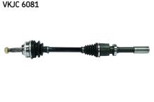 SKF VKJC 6081
